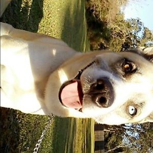 Meet your Posher, Clarissa